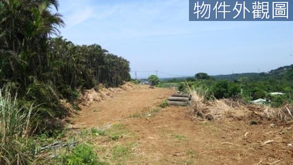 新北農地-13