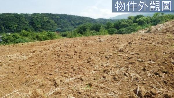 新北農地-15