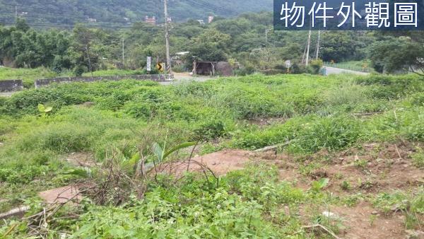 新北農地-2