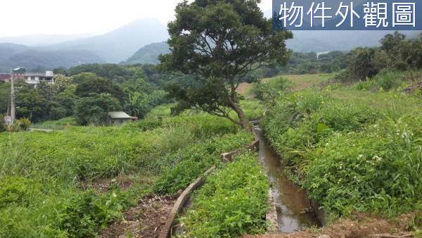 新北農地-5