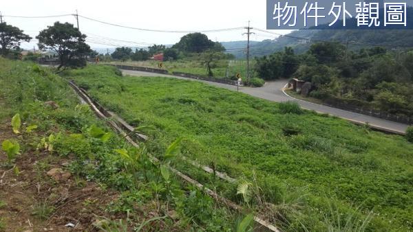 新北農地-6