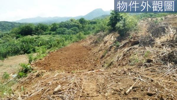 新北農地-9
