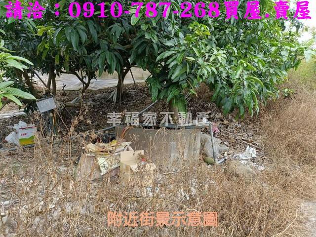 台南農地-11