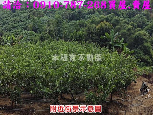 台南玉井農地-4