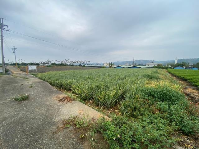 南投名間農地-3