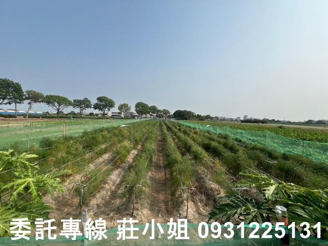 台南農地-12