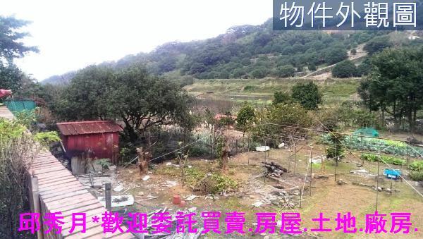 三芝農地-11
