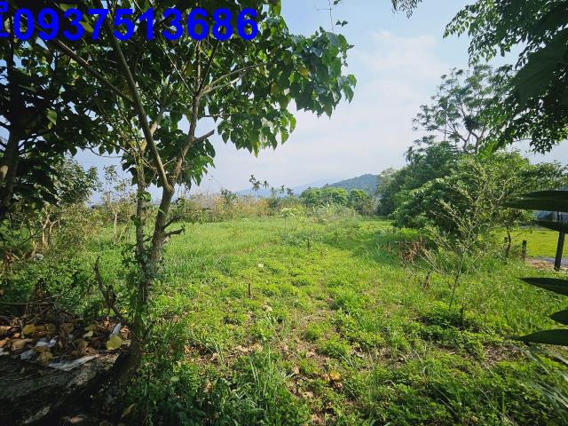 冬山農地-6