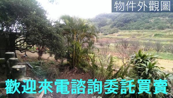 三芝農地-9