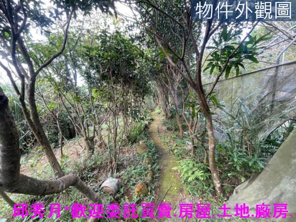 三芝農地-10