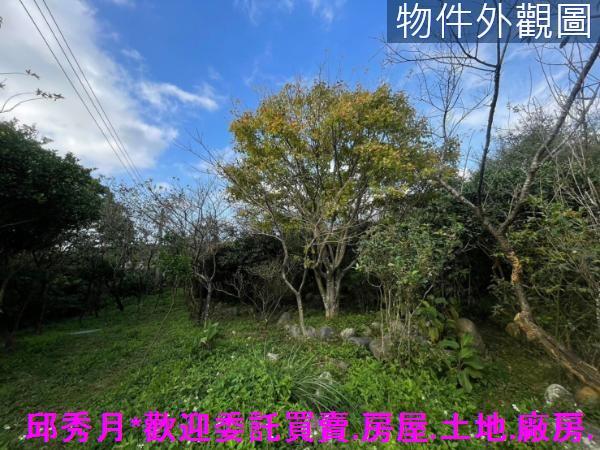 三芝農地-13