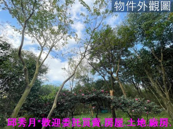 三芝農地-14