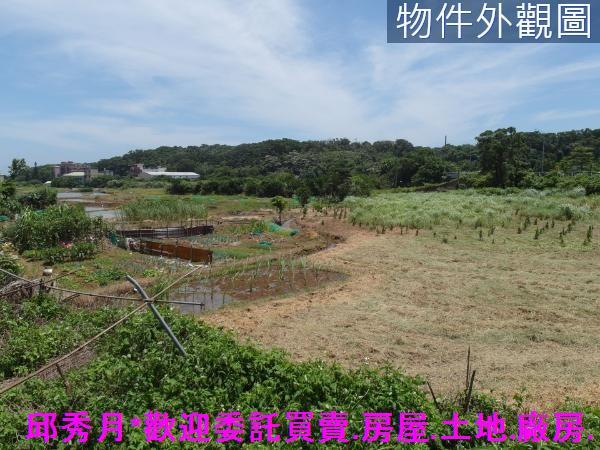 新北三芝農地-9