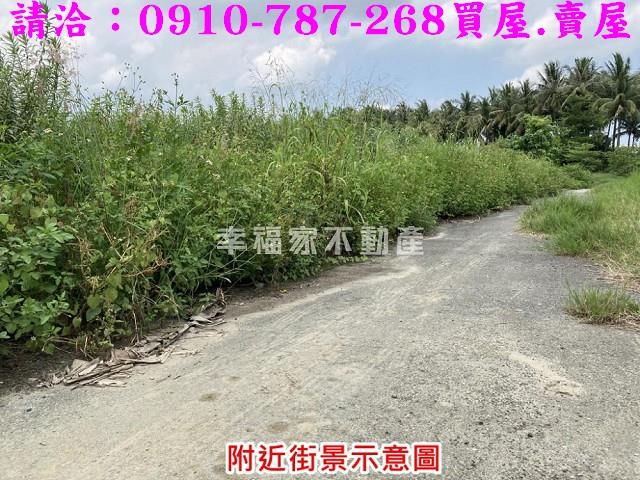 台南農地-10