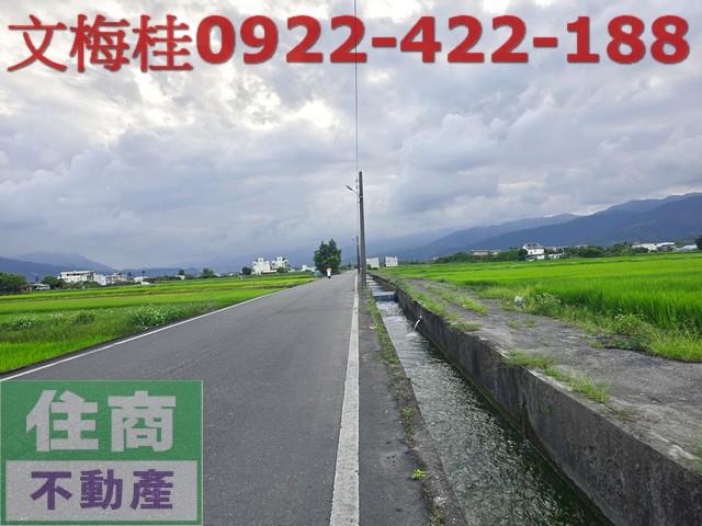 宜蘭三星農地-4