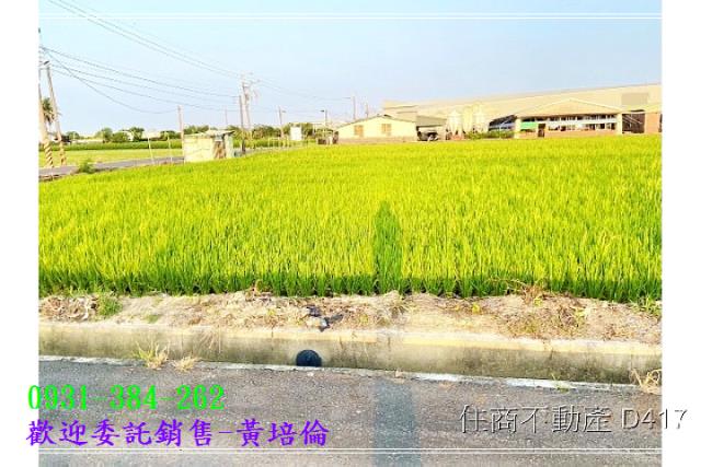 591黃培倫