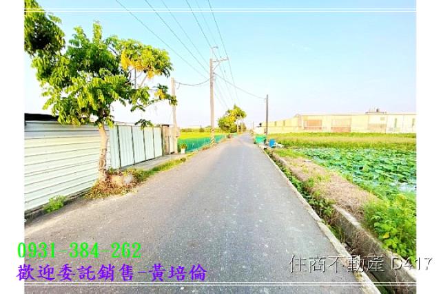 黃培倫591