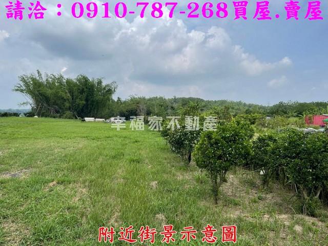 台南大內農地-13