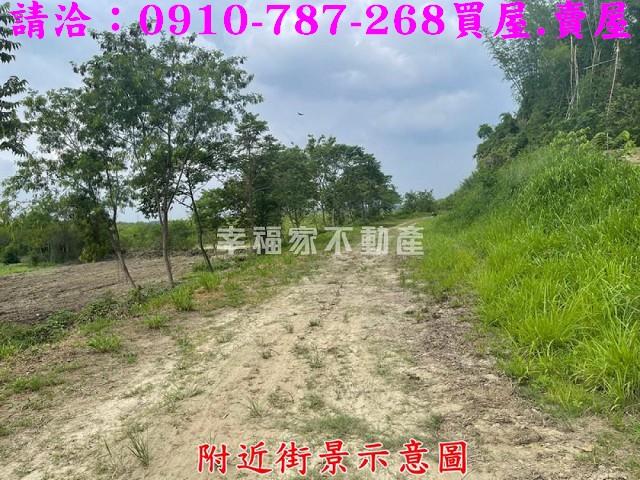 台南大內農地-9