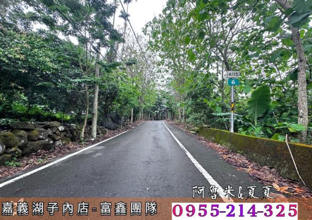 嘉義農地-8