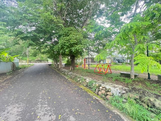 嘉義水上農地-4