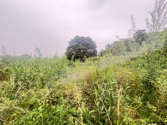 嘉義水上農地-7