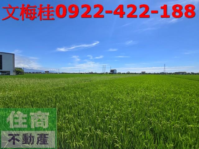 宜蘭宜蘭市農地-2