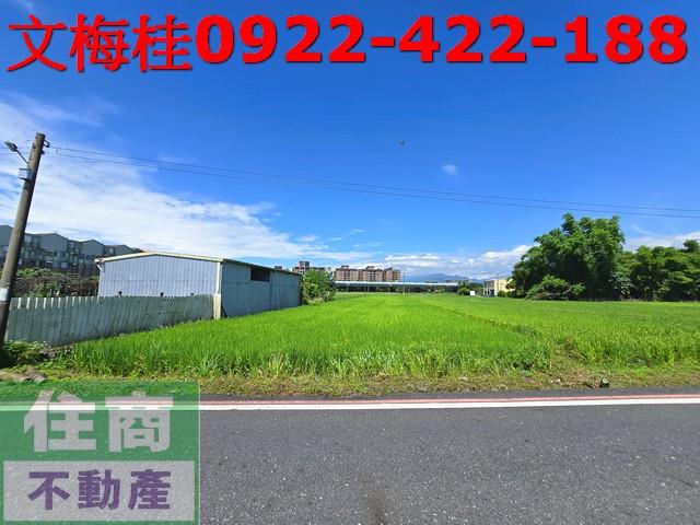 宜蘭宜蘭市農地-4