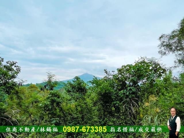 台南農地-8