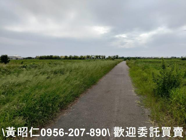 台南七股農地-3