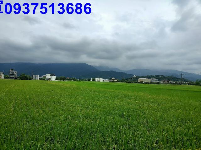 宜蘭冬山農地-10