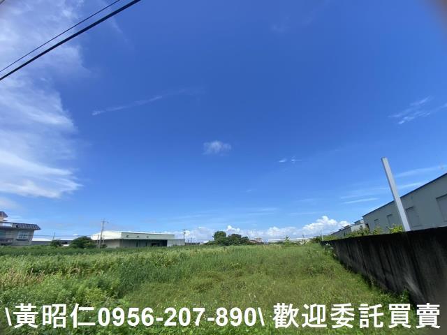 安定農地-6