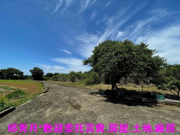 淡水農地-4