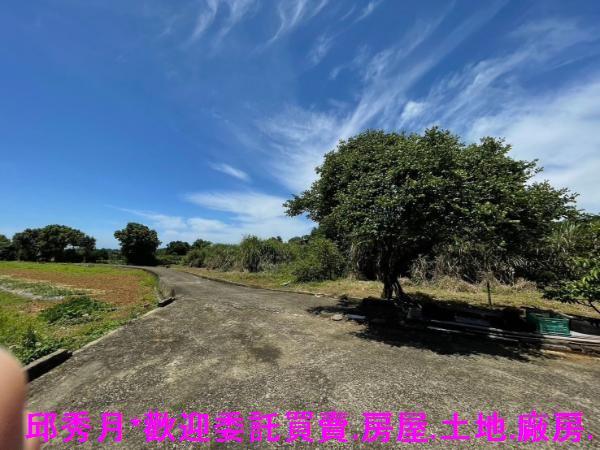 淡水農地-5