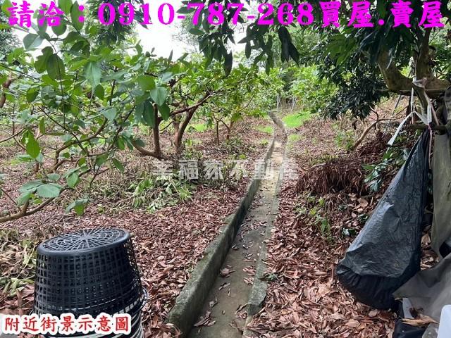 玉井農地-15