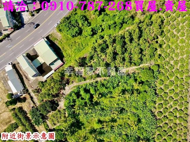 玉井農地-2