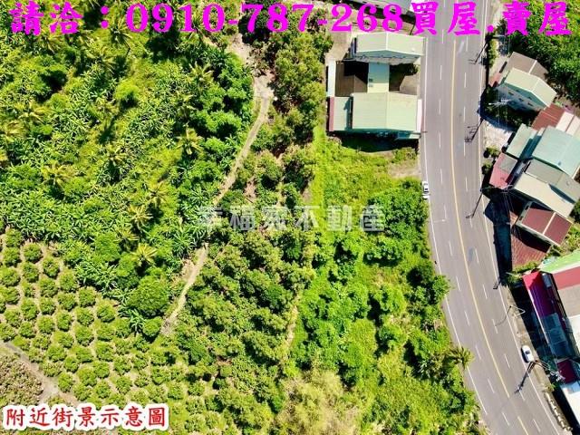 玉井農地-4