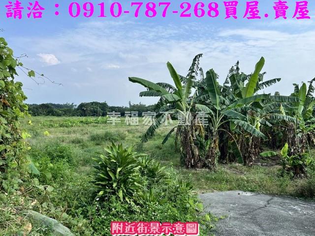 台南山上農地-10