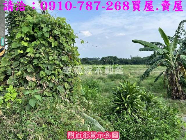 台南山上農地-4