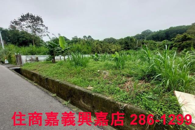 嘉義農地-3