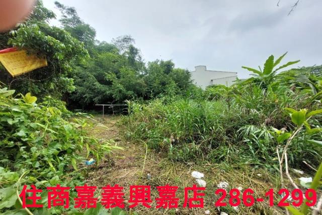 嘉義農地-4