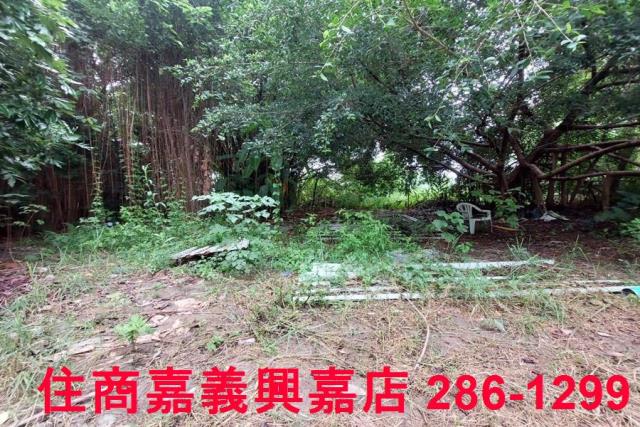 嘉義農地-5