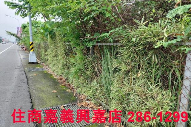嘉義農地-8