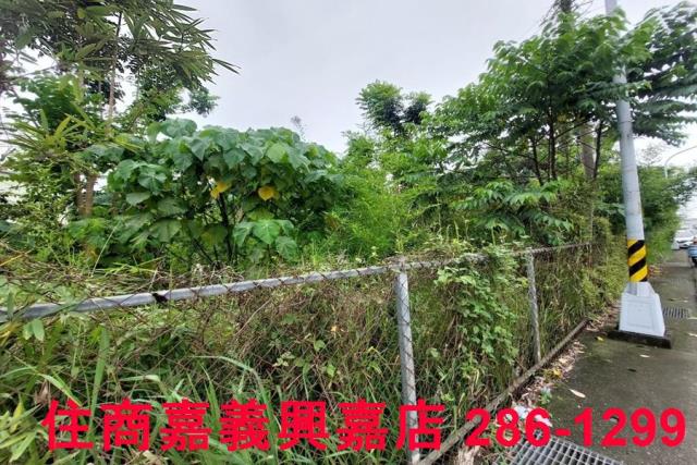 嘉義農地-9