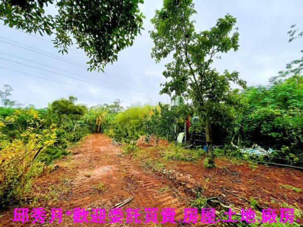 淡水都市計畫內-5