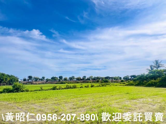 台南仁德農地-3