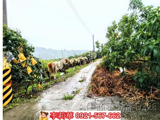 台南楠西農地-2