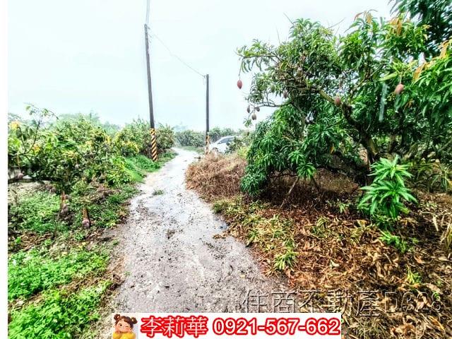 台南楠西農地-3