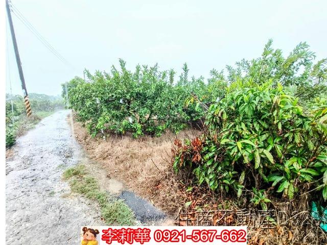 台南楠西農地-4