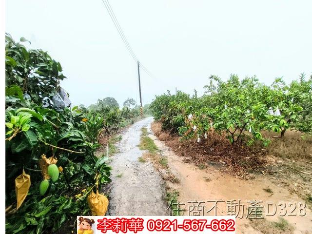 台南楠西農地-5